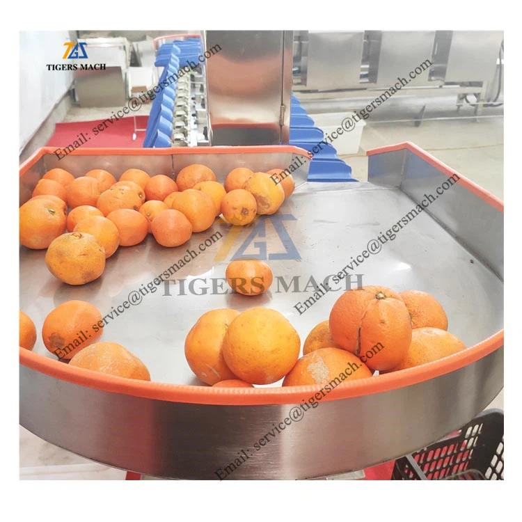 product-750-750 product-750-750