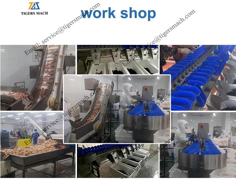 product-750-570 product-750-570