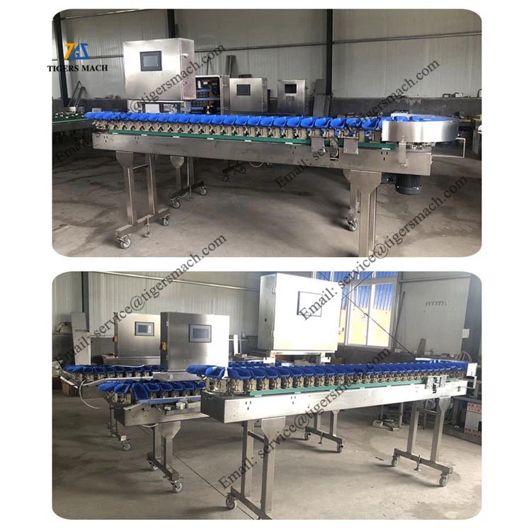 product-750-750 product-750-750