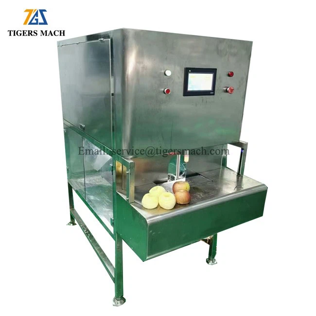 Automatic Pineapple Peeler Machine