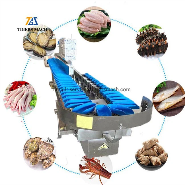 Automatic Fruit Weight Sorting Machine