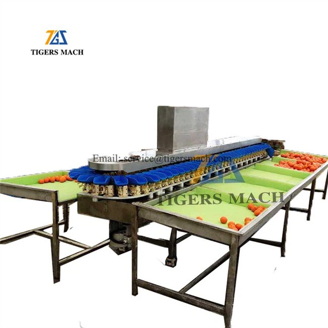Fruit Weight Sorting Machinery