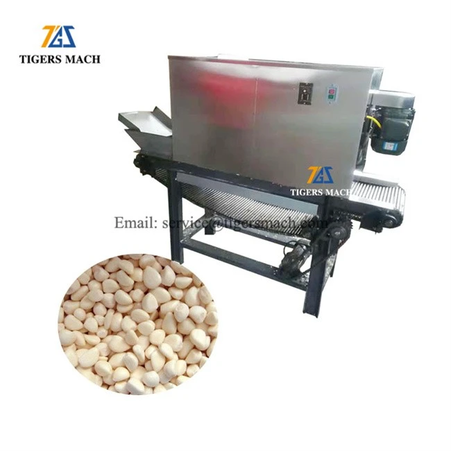 Garlic peeling machine 17