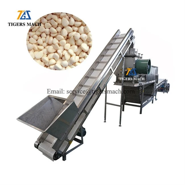 Garlic peeling machine 16