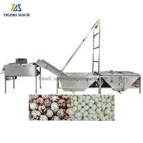 Nhà máy bóc vỏ trứng cút nấu chín kinh tế