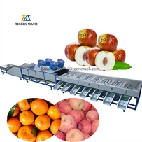 Máy phân cỡ khoai tây